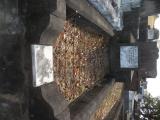 image of grave number 835256
